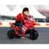 Bild von Ducati Desmosedici Rider 6V