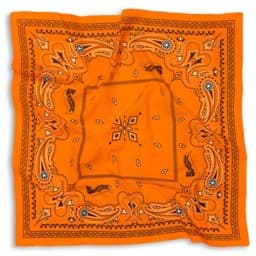 Zeige Details für Ducati - Tex Bandana-Tuch Bild von Ducati - Tex Bandana-Tuch